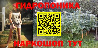 ECSTASY Будённовск