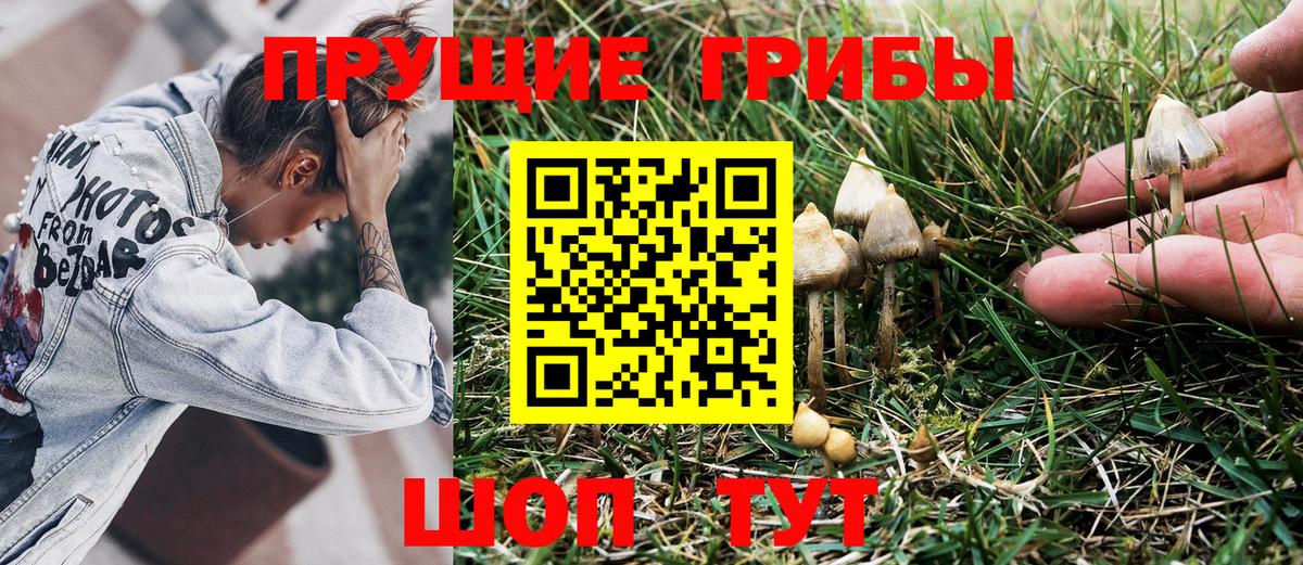 Полысаево  Псилоцибиновые грибы Cubensis  Галлюциногенные грибы Magic Shrooms  Вход с VPN 